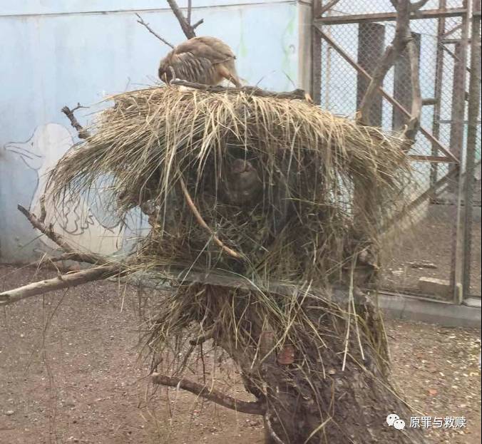 饭已OK啦，下来咪西吧~