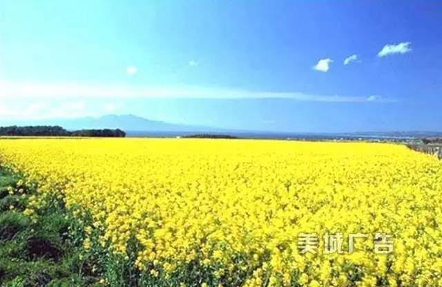 集美第一高峰——钉顶尾山(美丽的山146)