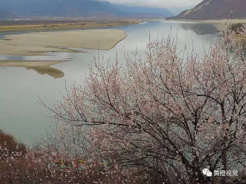 西藏 <wbr>| <wbr>春日林芝桃花运(续篇)