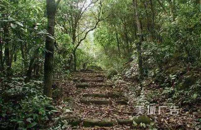 集美第一高峰——钉顶尾山(美丽的山146) 图片来自网络