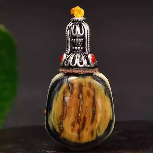 其实猛犸牙皮比果冻料更值钱!