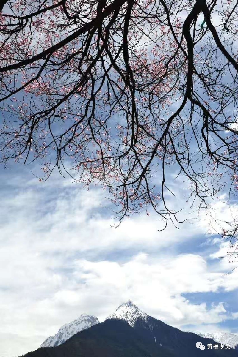 西藏 <wbr>| <wbr>春日林芝桃花运(续篇)