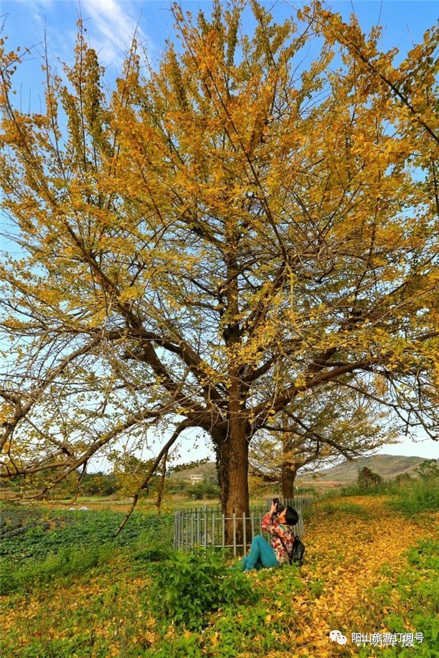 【秀美小江】赏醉美风景,品尝最正宗的小江牛杂!