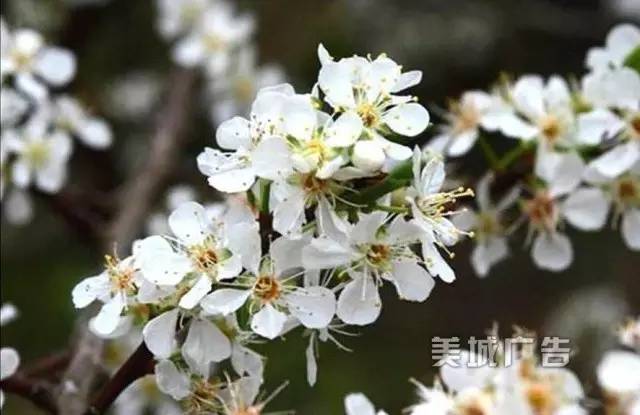 集美第一高峰——钉顶尾山(美丽的山146) 图片来自网络