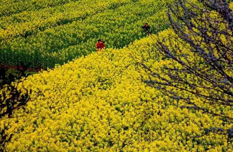 《重庆传统村落地图》出炉,石柱3个村入榜!