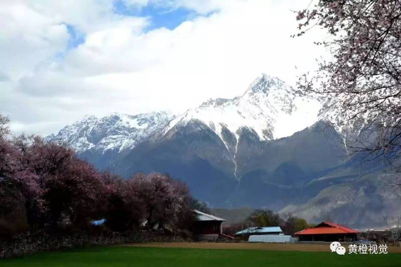 西藏 <wbr>| <wbr>春日林芝桃花运(续篇)
