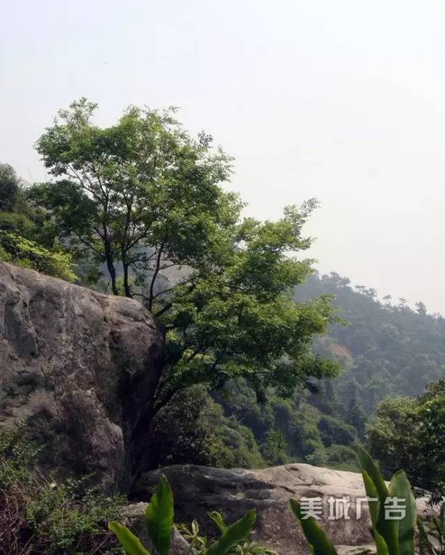 天然奇观东辉大峡谷——大坂山(美丽的山147) 图片来自网络