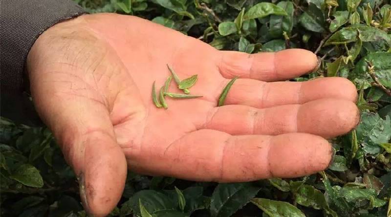 学会等待是一场修行