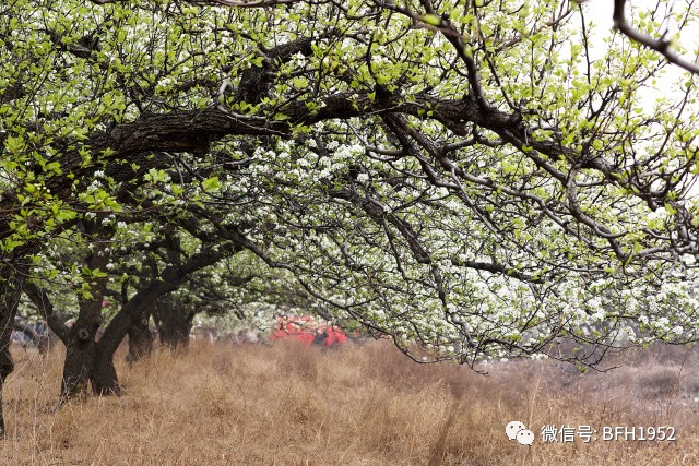 乳腺结节专病专家团队:开诊仨月 <wbr>数百位患者慕名而来