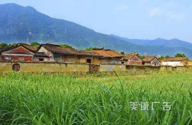 集美第一高峰——钉顶尾山(美丽的山146)