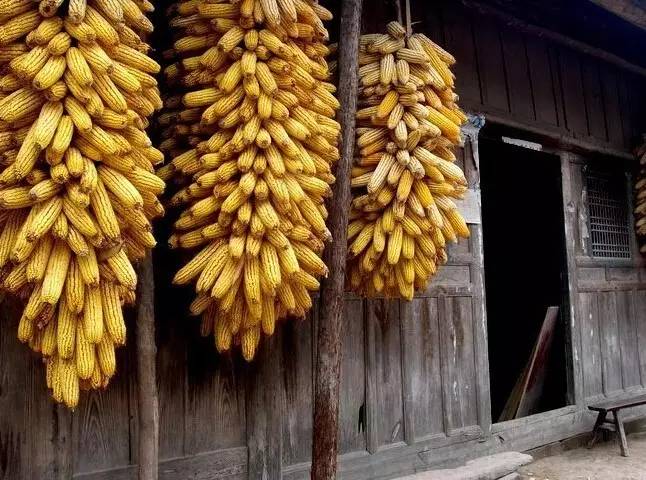 《重庆传统村落地图》出炉,石柱3个村入榜!