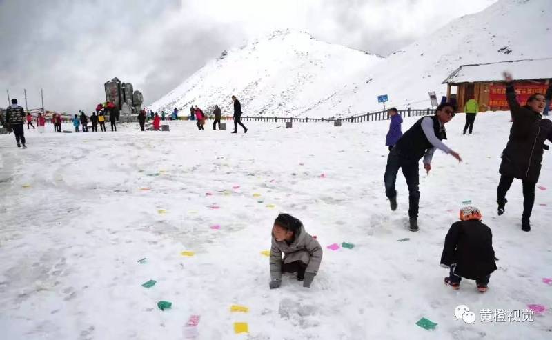 西藏 <wbr>| <wbr>春日林芝桃花运(续篇)