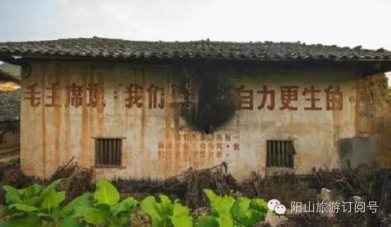 【秀美小江】赏醉美风景,品尝最正宗的小江牛杂!