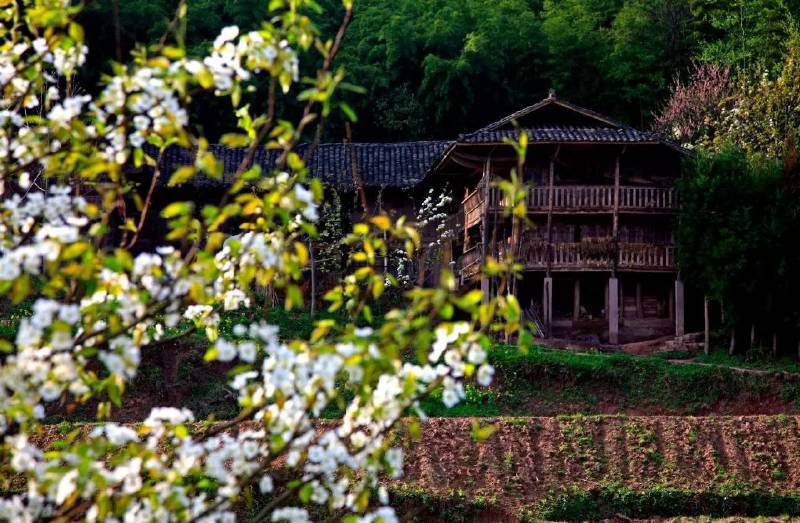 《重庆传统村落地图》出炉,石柱3个村入榜!