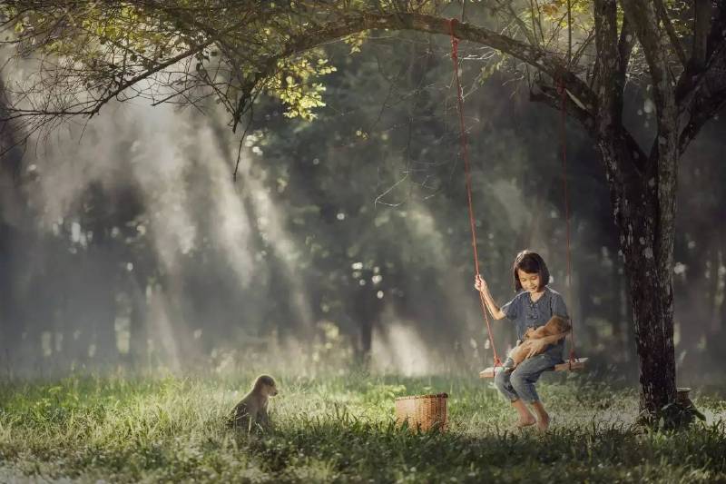 她,是奶奶,是外婆,是多少人童年的全部