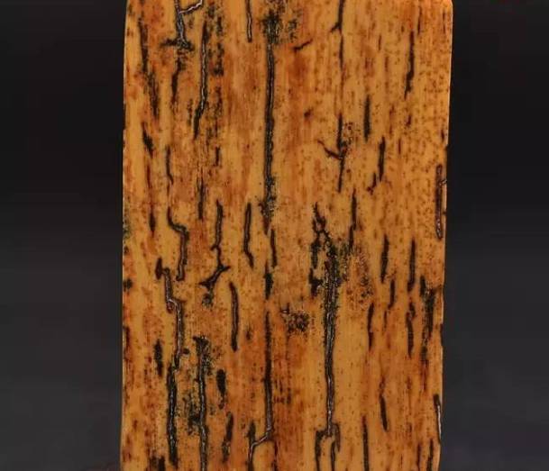 其实猛犸牙皮比果冻料更值钱!