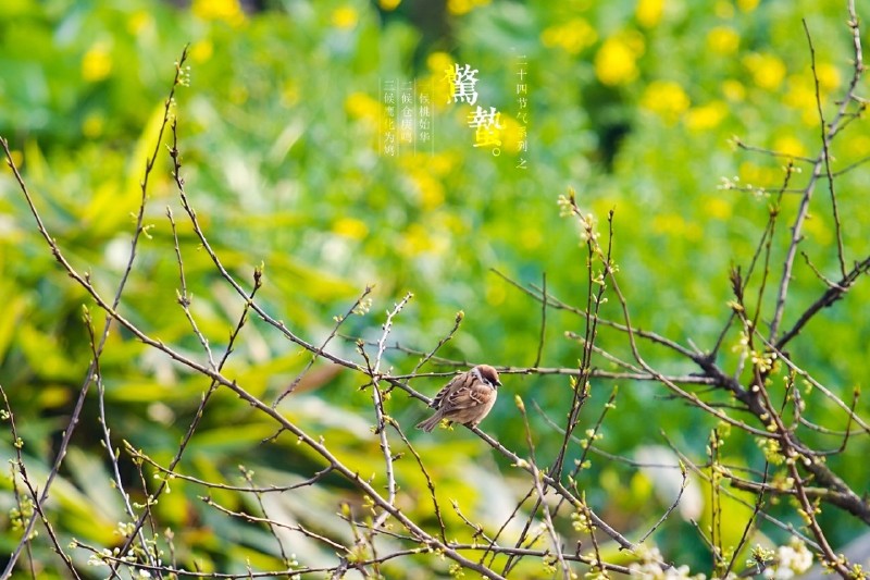 学会等待是一场修行