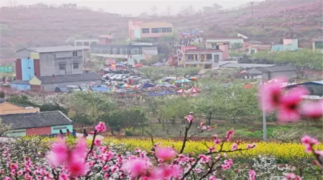 金堂周边这些地方可以看桃花啦! <wbr>太美了~