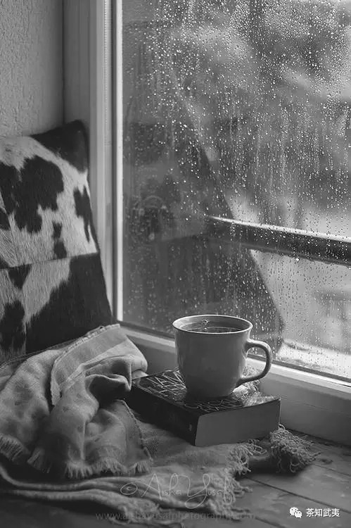 在一个寂寥的雨天,泡一杯茶,独坐在窗前,观看春天的花朵被风雨吹落