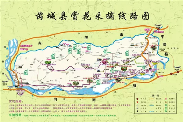 紫荆花 花期:4月份 地点:芮城县永乐宫景区 路线:县城以北2公里处