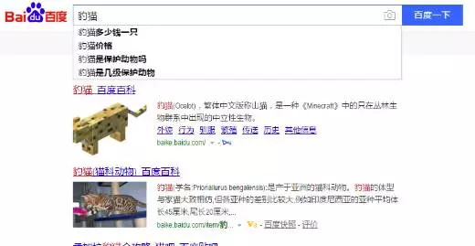 宠物豹猫背后的残酷真相:大量野生豹猫正因此消失 从百度搜索框默认的豹猫搜索内容可见,豹猫的买卖有多猖獗。