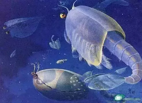 外星生命和地球上的相似吗?