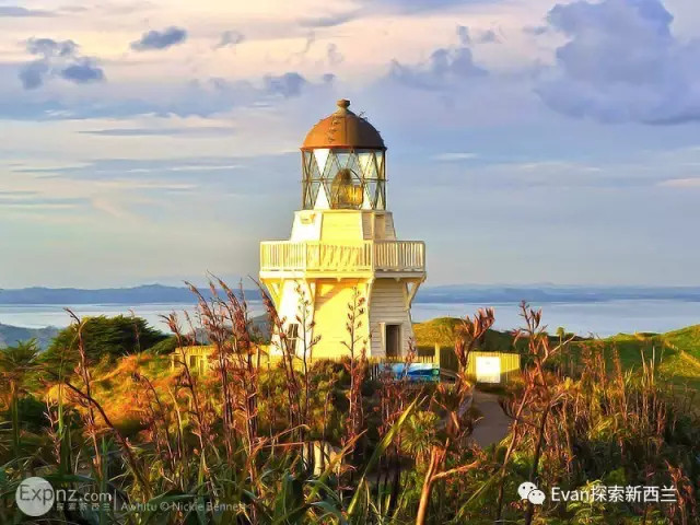 约起!奥克兰周边这些一日游目的地最适合三月