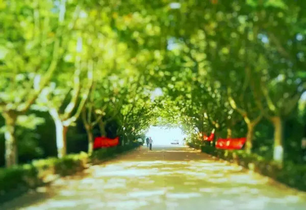 南大浦口,我们再也回不去了