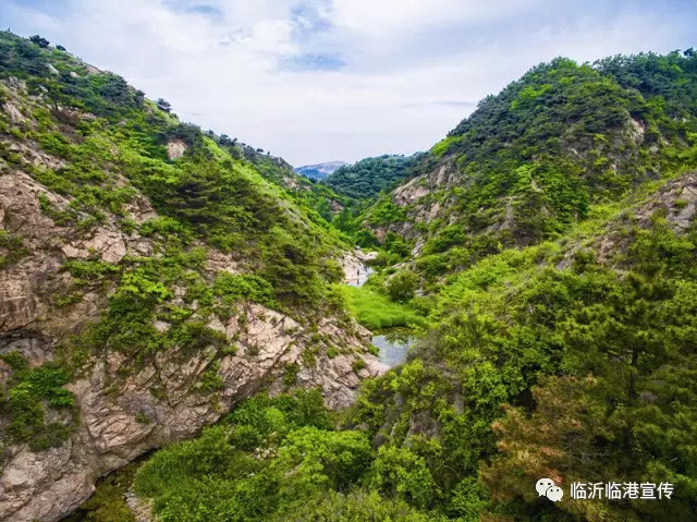 2017临沂临港(大山空)春季赏花节开幕了!十里