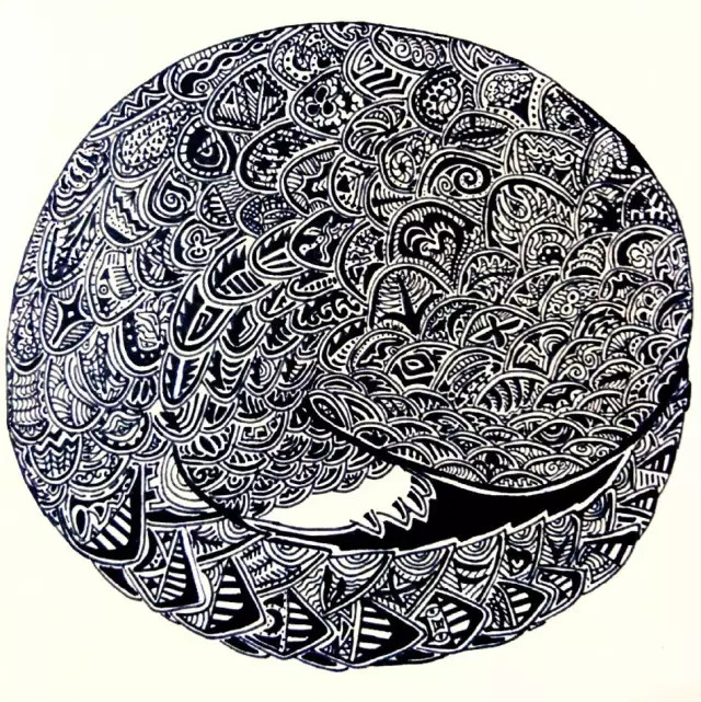 穿山甲和她的朋友们,是怎么给铲屎官出难题的? 陈老湿的黑暗骑士。绘图:陈老湿