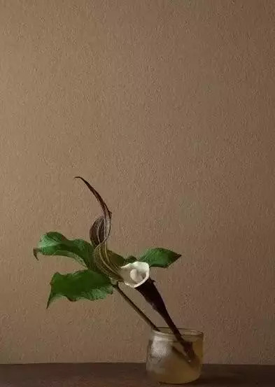 [转载]六个哲理小故事,六种心境_森林