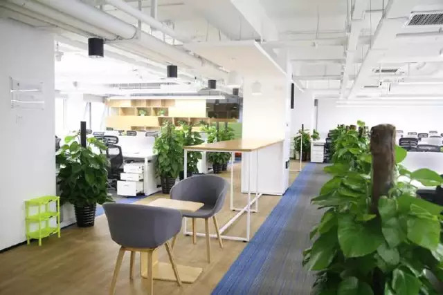 招聘!小米应用商店招募运营经理\/产品运营