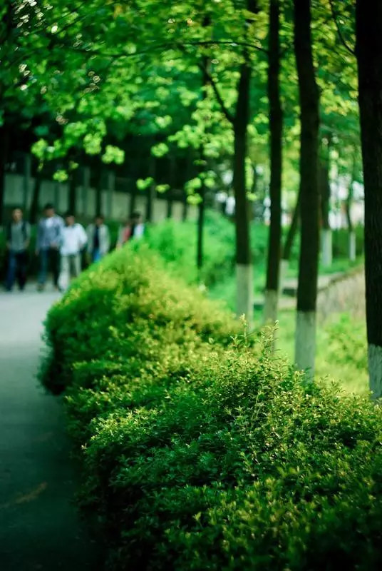 南大浦口,我们再也回不去了