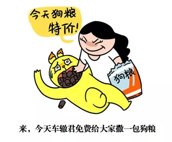 车龄25岁,小夫妻就开着这辆面包车环游了世界