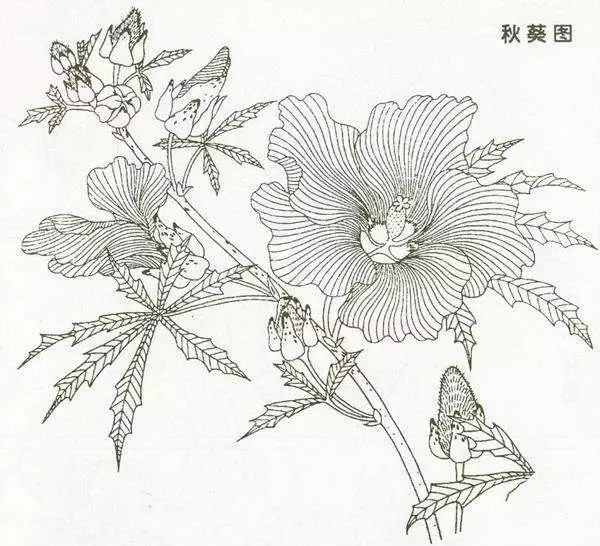 六、雉禽 属于栖地类禽鸟,身体较大毛色美丽,尾长,嘴形与鸡类似,多生长于山林矮木丛中。例如雉鸡、锦鸡 、长尾雉、孔雀等。 禽鸟是卵生,故其身体(不包括头 、颈、脚、尾等部位)呈蛋形。因生活环境与习性不同 ,其嘴、脚翅及尾也各有不同的比例与特微。一般而言,水禽(涉禽、游禽)大多嘴长而尾短,山禽(鸣禽、 攀禽、雉禽)大多嘴短极尾长,嘴勾者食肉,细尖者食虫,嘴长者食虾,食壳者嘴粗而厚,成圆椎形。