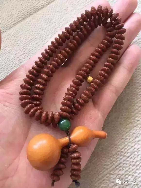 金叶莲花菩提如何盘玩 ▼ 清理: ①首先用牙刷把表面的果肉