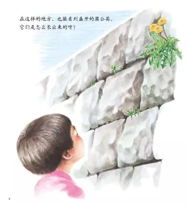 配图选自《春天到了！》，收于《你好，四季》