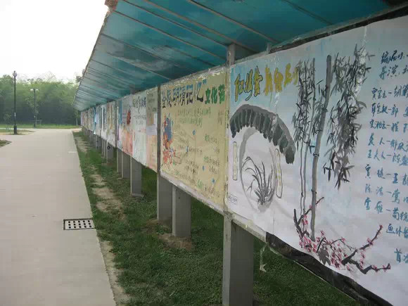 南大浦口,我们再也回不去了