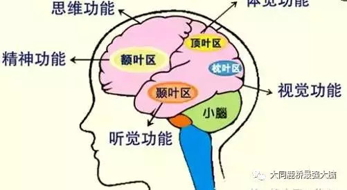 鹿桥脑开发素材细谈主题讲座开课啦