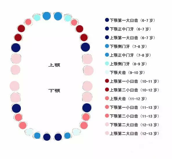 误区|只有六龄齿需要做窝沟封闭?