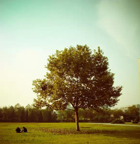 南大浦口,我们再也回不去了