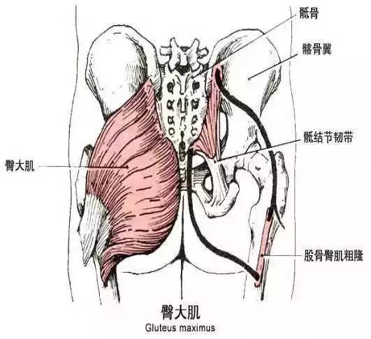 动态拉伸