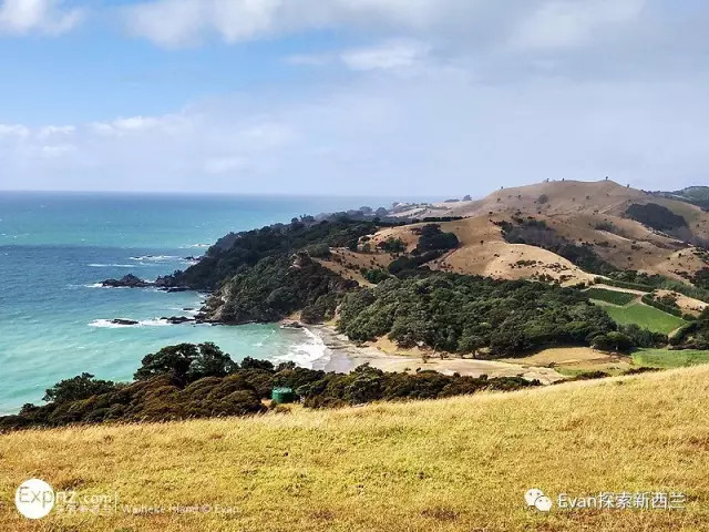 约起!奥克兰周边这些一日游目的地最适合三月
