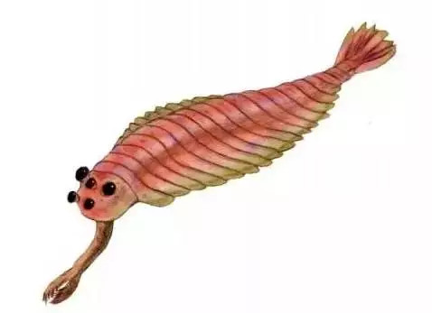 外星生命和地球上的相似吗?