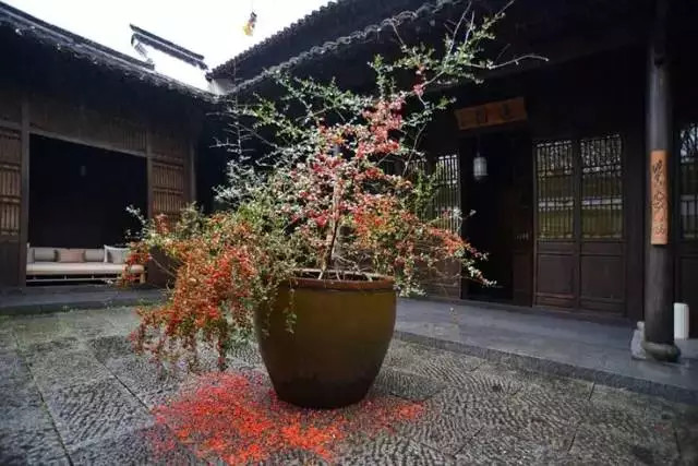 愿我们的友谊地久天长!