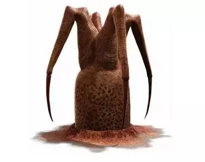 外星生命和地球上的相似吗?