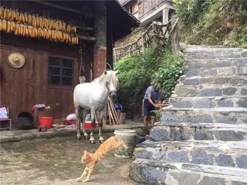 旅游景点好吃不好吃小吃盘点19:贵州千户苗寨