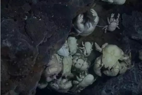 外星生命和地球上的相似吗?