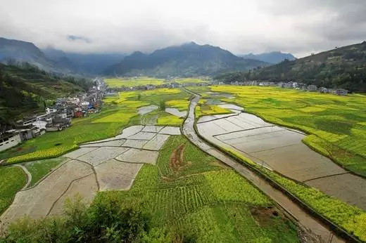 总人口黑山_黑山老妖图片(3)