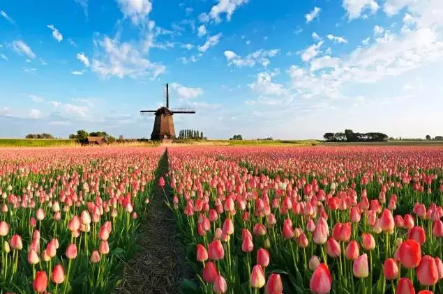 2017年荷兰旅行榜单新鲜出炉,让我们一起来看看都有哪些上榜的景点吧
